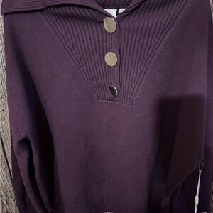 Cyrus Plum Sweater with Gold Buttons Large
